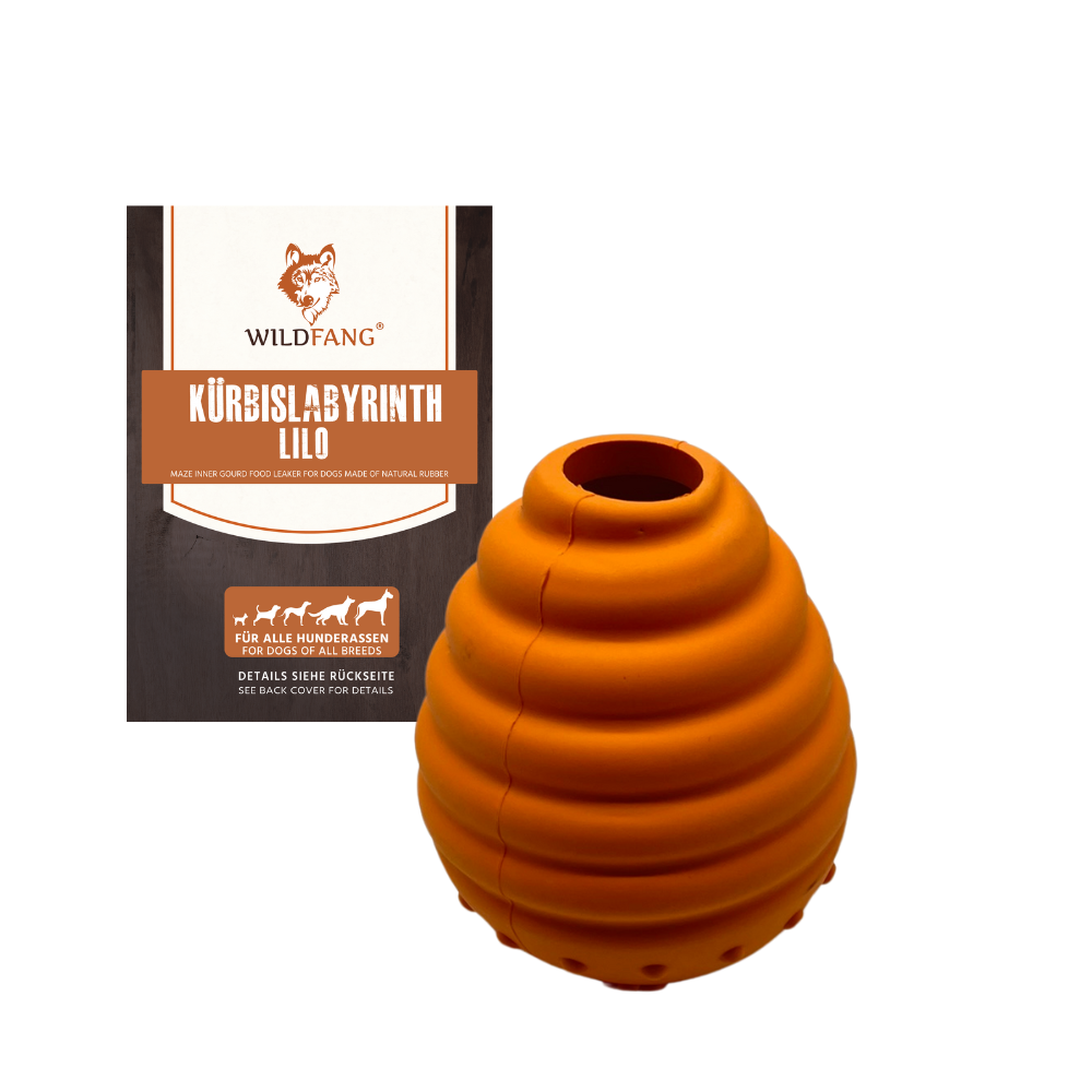 Lilo Natural Rubber Dog Toy – Treat Dispensing & Enrichment Toy