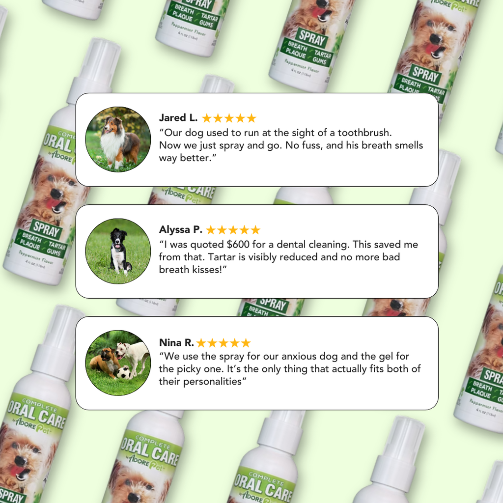 Oral Care Spray