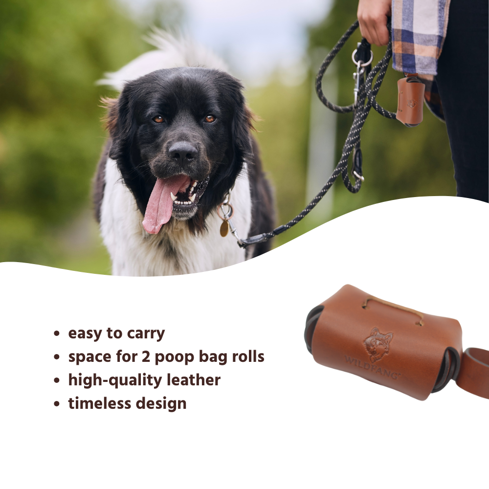Leather Dog Poop Bag Holder for Leash – Double Roll Dispenser