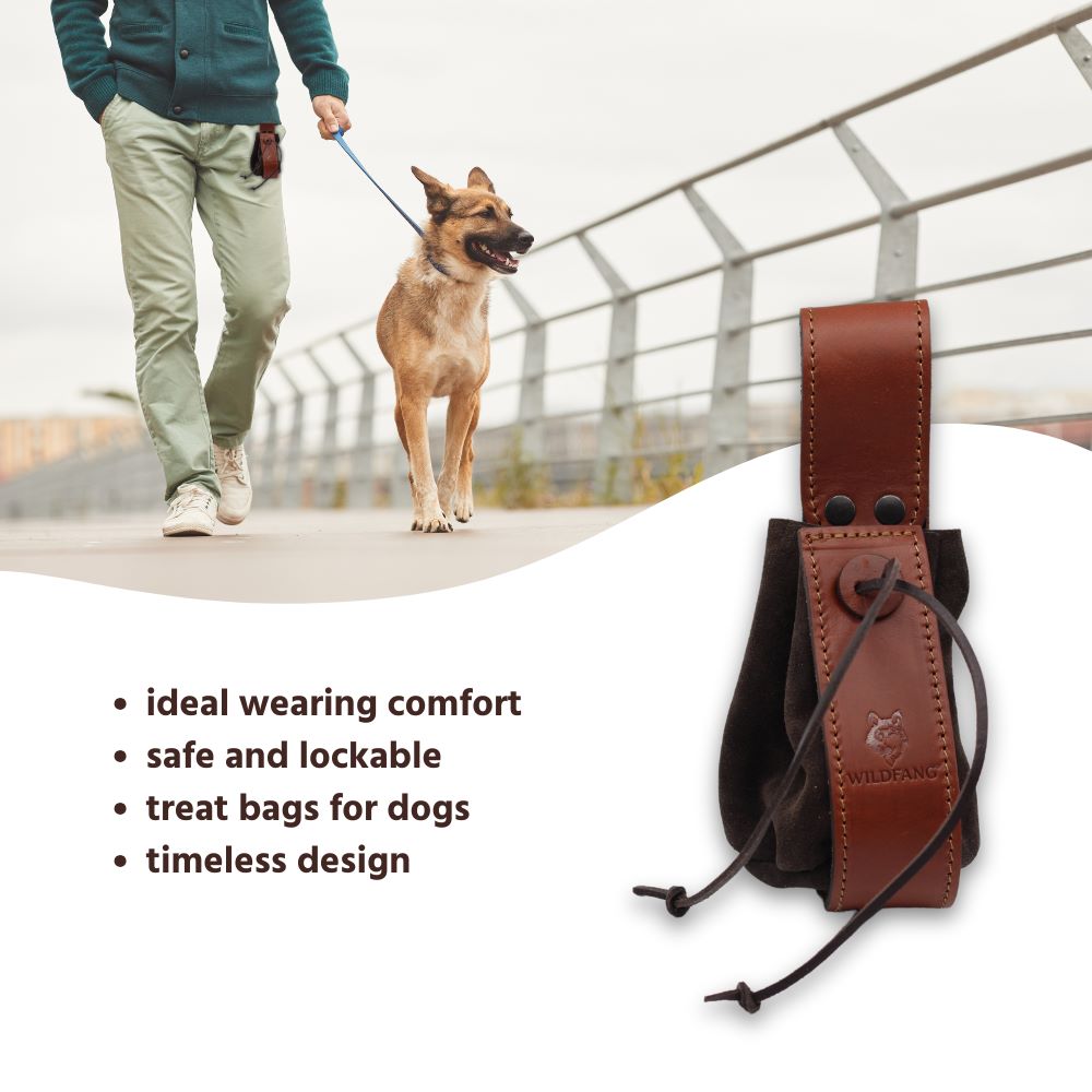 Leather Dog Treat Pouch – Training Treat Bag