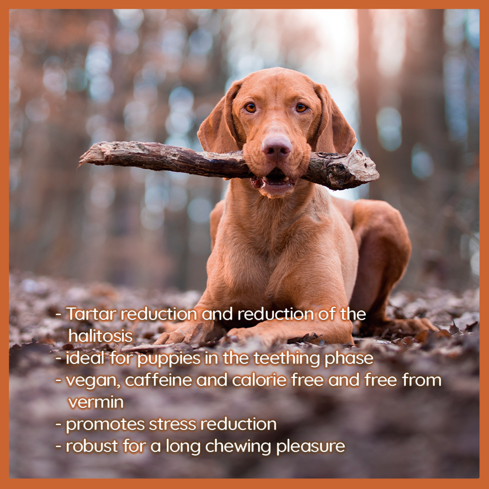 Coffee Wood Dog Chew with Salmon Oil – Natural Chew Stick