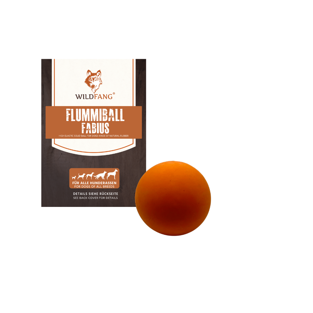 Fabius Natural Rubber Dog Ball – Bouncy Chew & Fetch Toy
