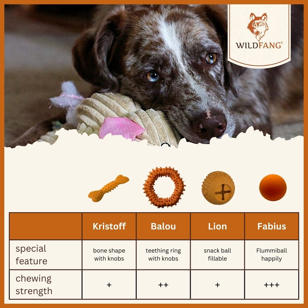 Robin Natural Rubber Dog Ring – Durable Chew & Play Toy