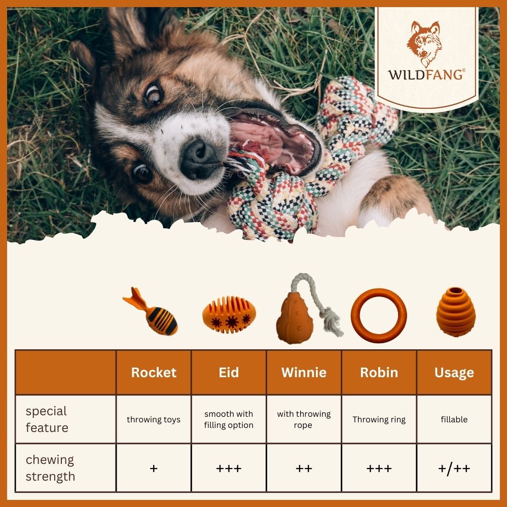 Raya Natural Rubber Dog Toy – Treat Dispensing Rugby Toy