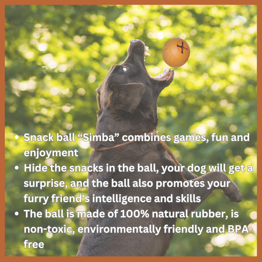 Simba Natural Rubber Dog Ball – Treat Dispensing & Chew Toy