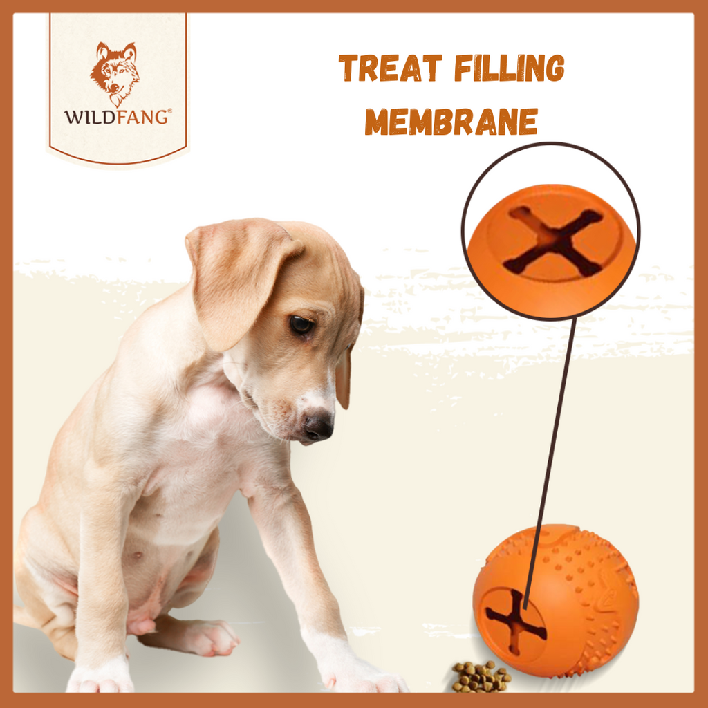 Simba Natural Rubber Dog Ball – Treat Dispensing & Chew Toy
