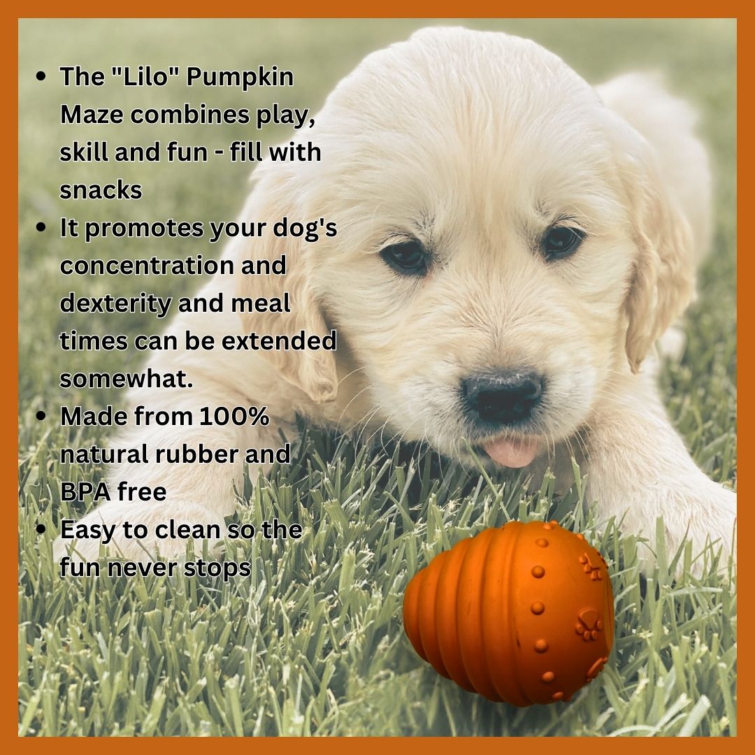 Lilo Natural Rubber Dog Toy – Treat Dispensing & Enrichment Toy