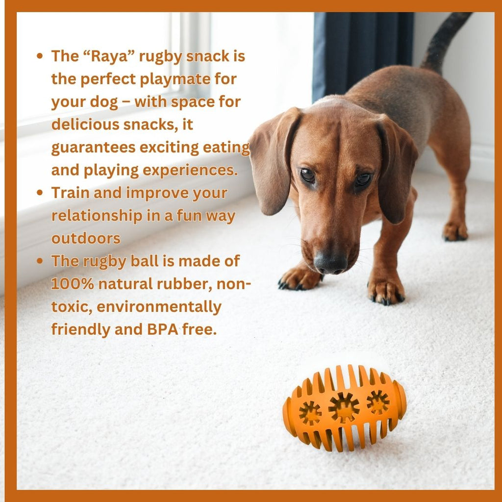 Raya Natural Rubber Dog Toy – Treat Dispensing Rugby Toy