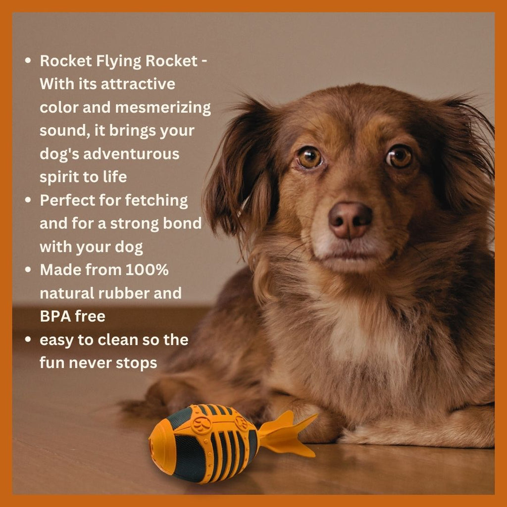 Rocket Natural Rubber Dog Toy – Squeaky Chew & Fetch Toy