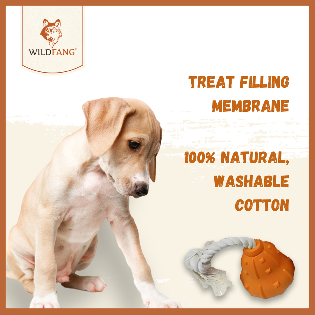 Winnie Natural Rubber Dog Toy – Treat, Tug & Chew Toy