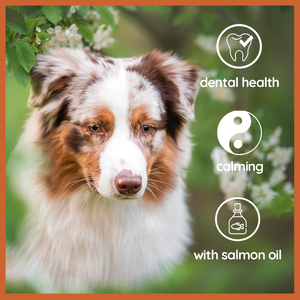 Coffee Wood Dog Chew with Salmon Oil – Natural Chew Stick