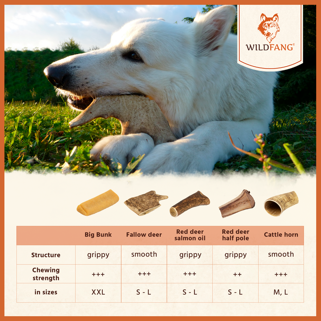 Coffee Wood Dog Chew with Salmon Oil – Natural Chew Stick