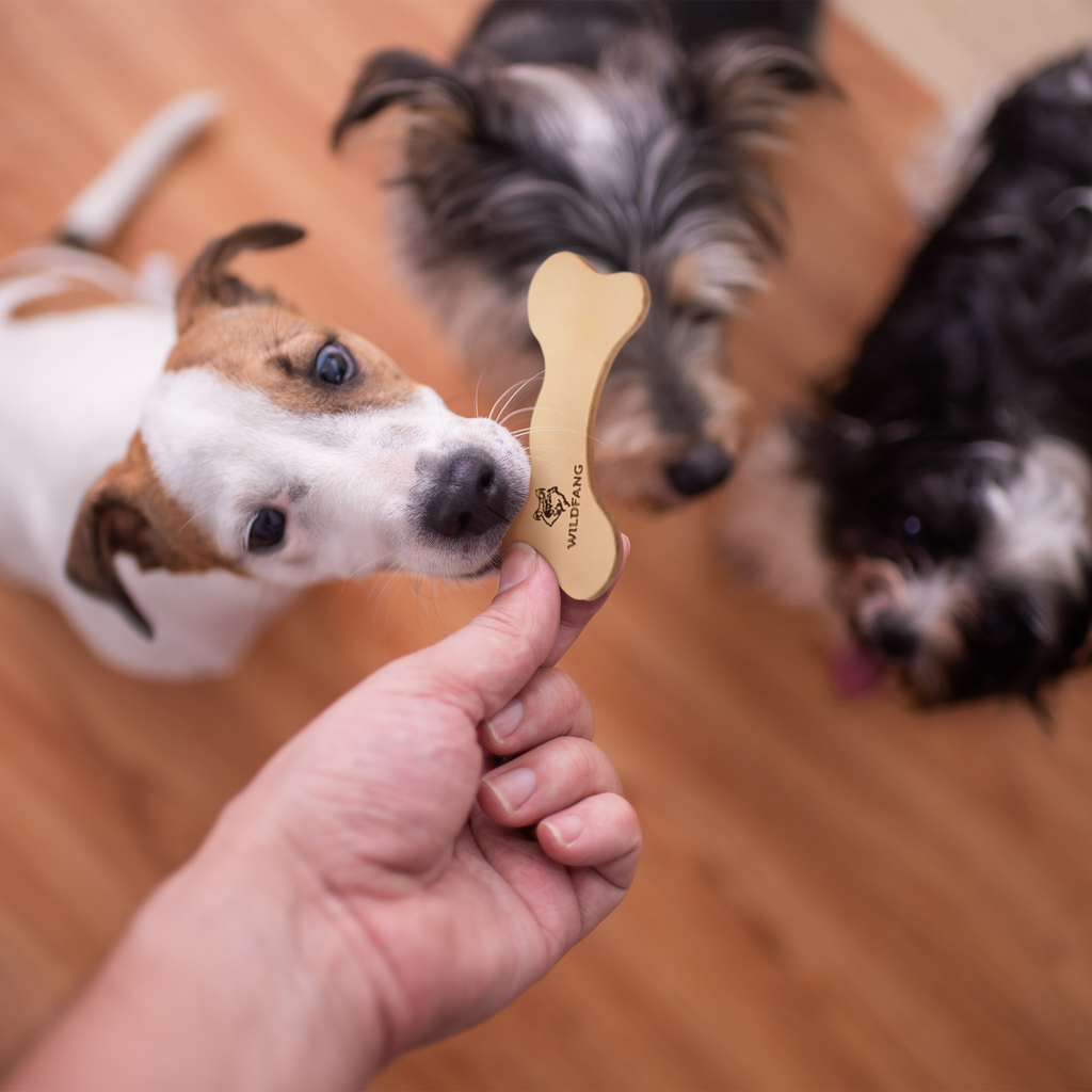 Natural Leather Dog Chew Bone – Vegetable-Tanned Cowhide