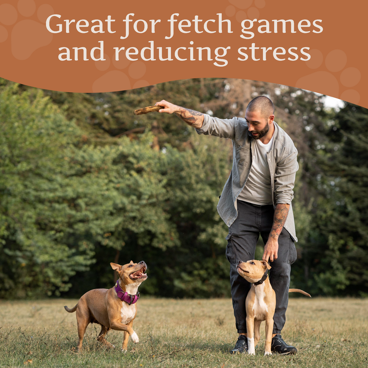 Olive Wood Dog Chew – Natural Chew Stick with Olive Oil
