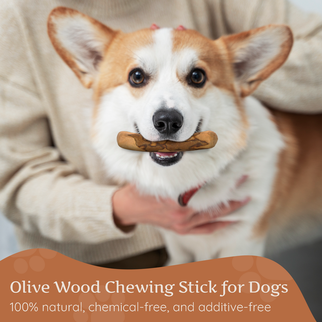 Olive Wood Dog Chew – Natural Chew Stick with Olive Oil