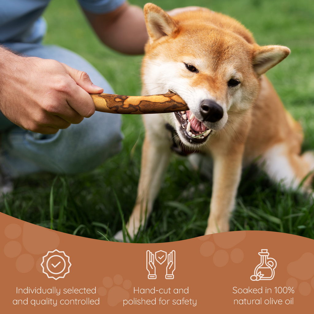 Olive Wood Dog Chew – Natural Chew Stick with Olive Oil