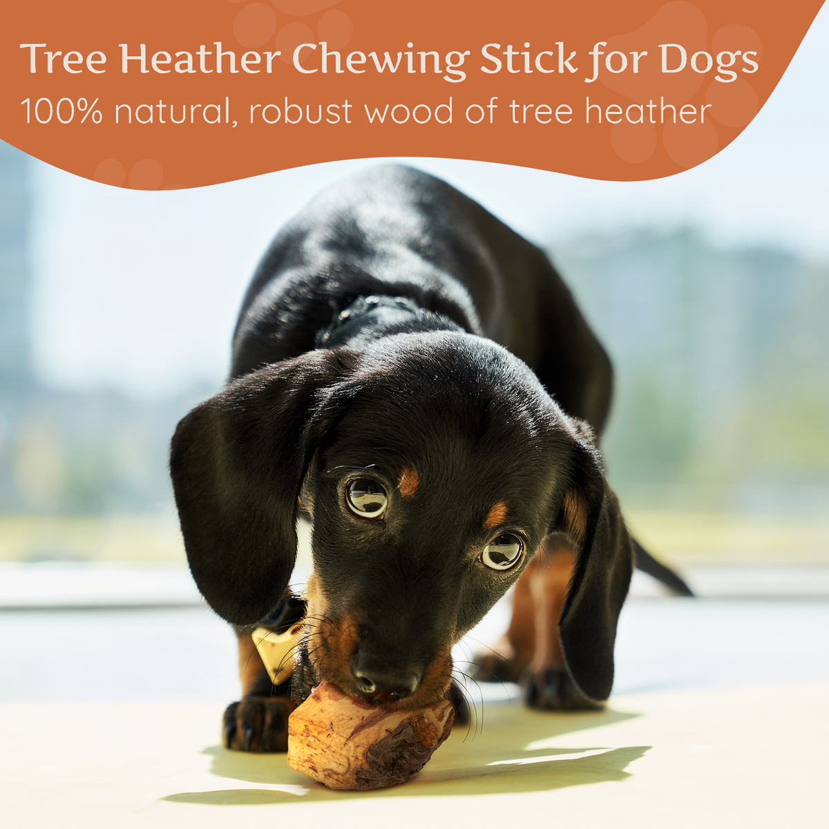 Tree Heather Root Dog Chew – Natural Long-Lasting Chew