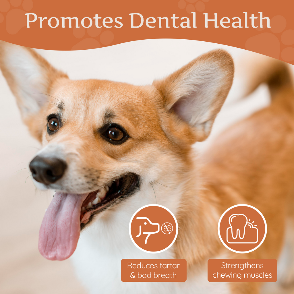 Tree Heather Root Dog Chew – Natural Long-Lasting Chew