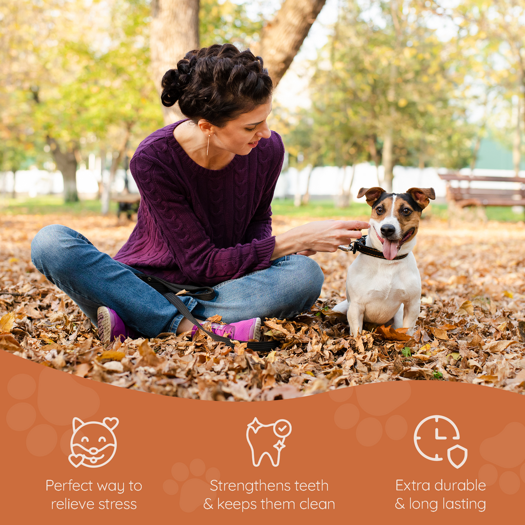 Tree Heather Root Dog Chew – Natural Long-Lasting Chew
