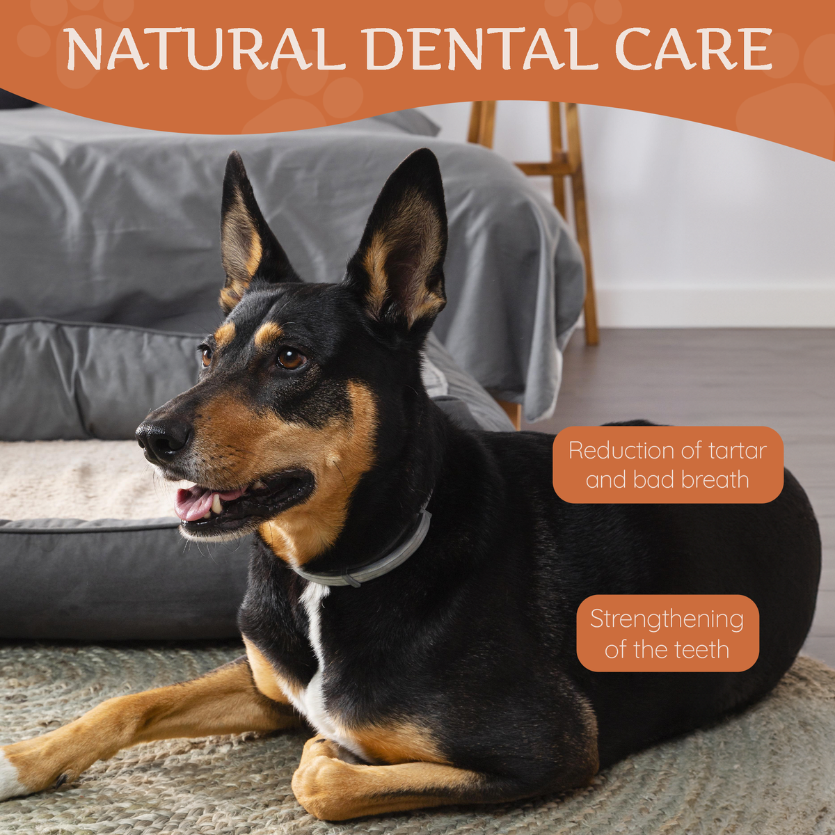 Hard Cheese Dog Chew – Long-Lasting Natural Chew
